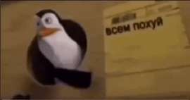 498x262