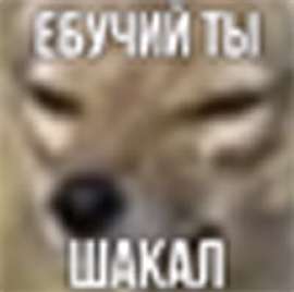 512x510