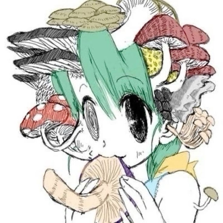 736x736