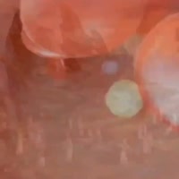 720x720