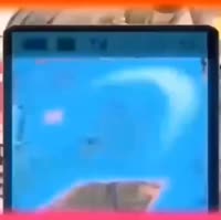 482x480
