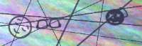 300x100