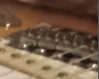 205x164