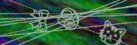 300x100