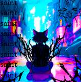 160x162