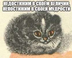 499x403