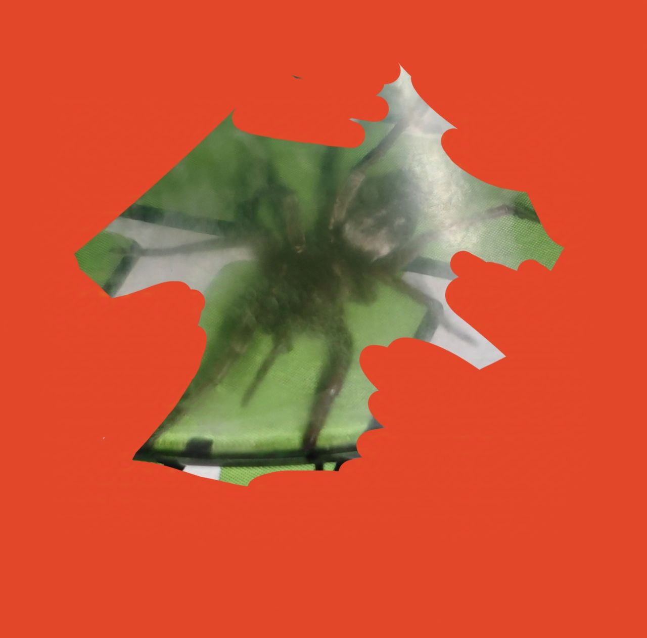 1280x1262