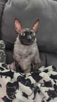 608x1080