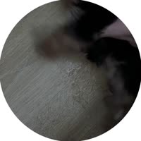 400x400