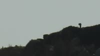 1280x720