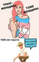 810x1280