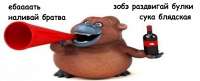 859x348