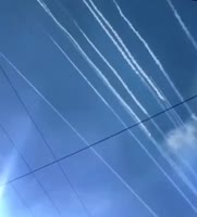 768x848