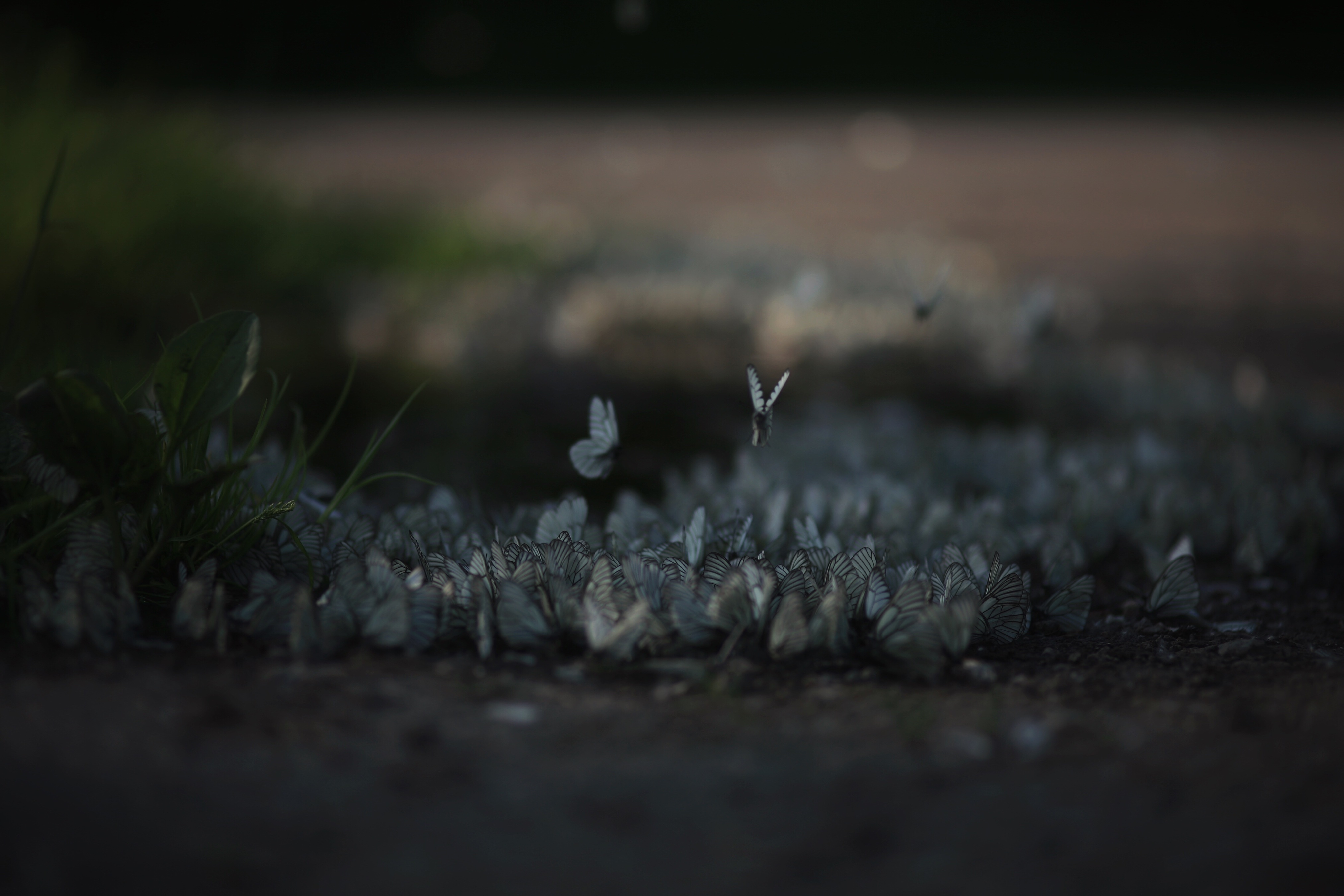 4050x2700