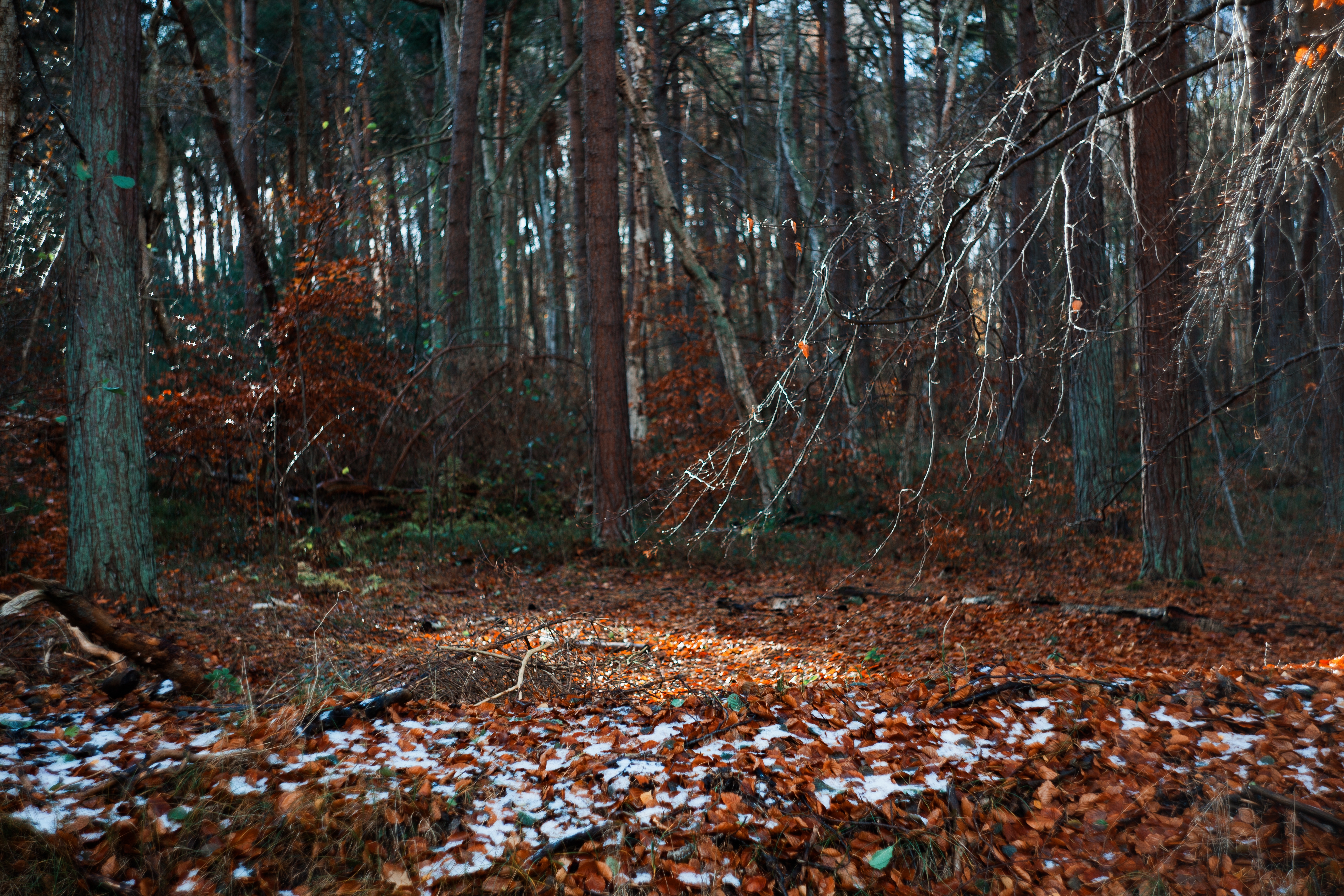5616x3744