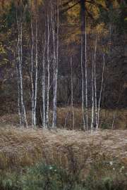 4000x6000