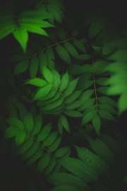 4000x6000
