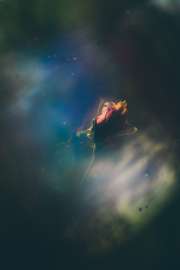 4000x6000