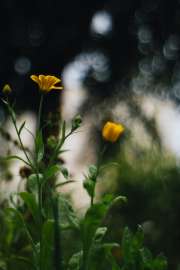 4000x6000