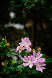4000x6000