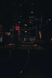 5003x7504