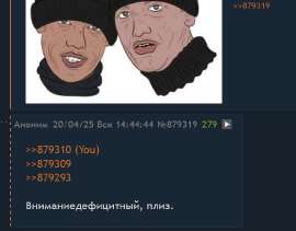556x436