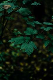 4000x6000