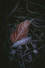 4000x6000