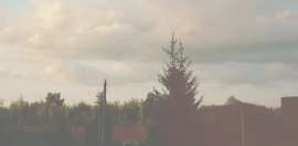 1115x548