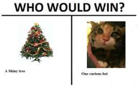 700x436