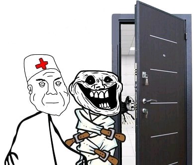 390x331