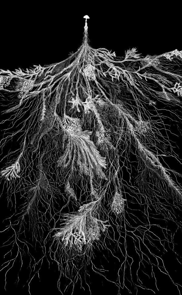 600x971