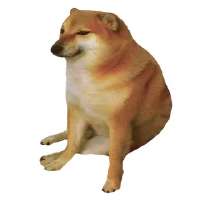 320x320