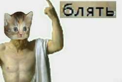 735x494