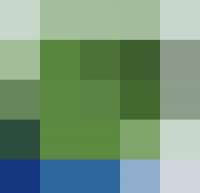 500x484