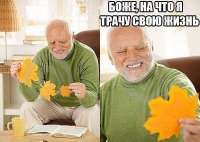 600x428