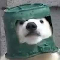 320x320