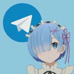 736x736