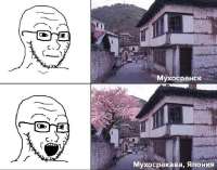 680x535