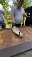 360x640