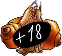 512x465