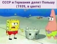 607x466
