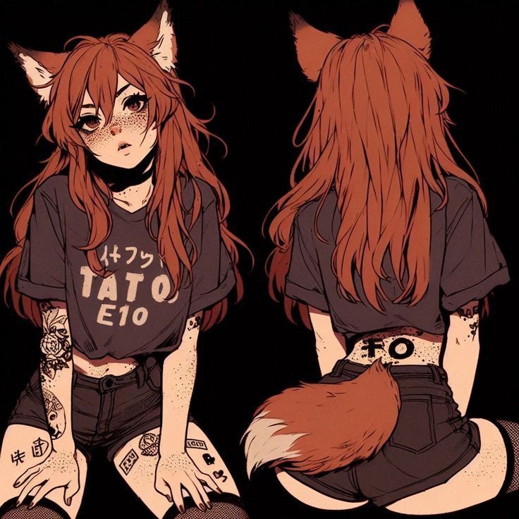 736x736