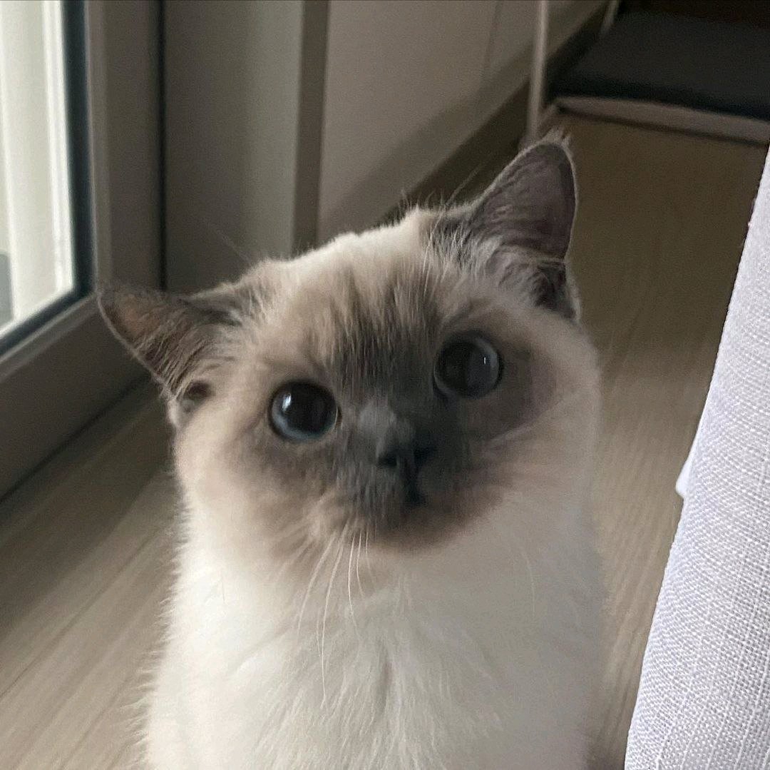 1080x1079