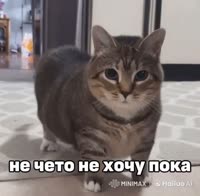 524x514