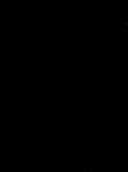 2992x4000