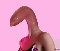 500x428
