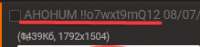 219x52