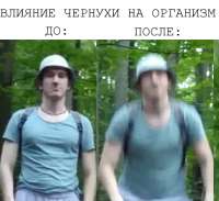 483x442