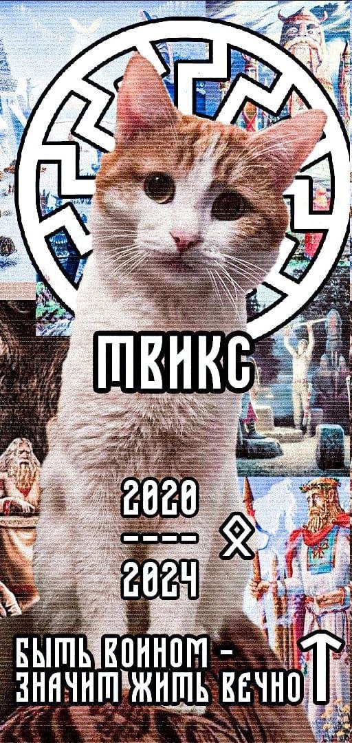 512x1080